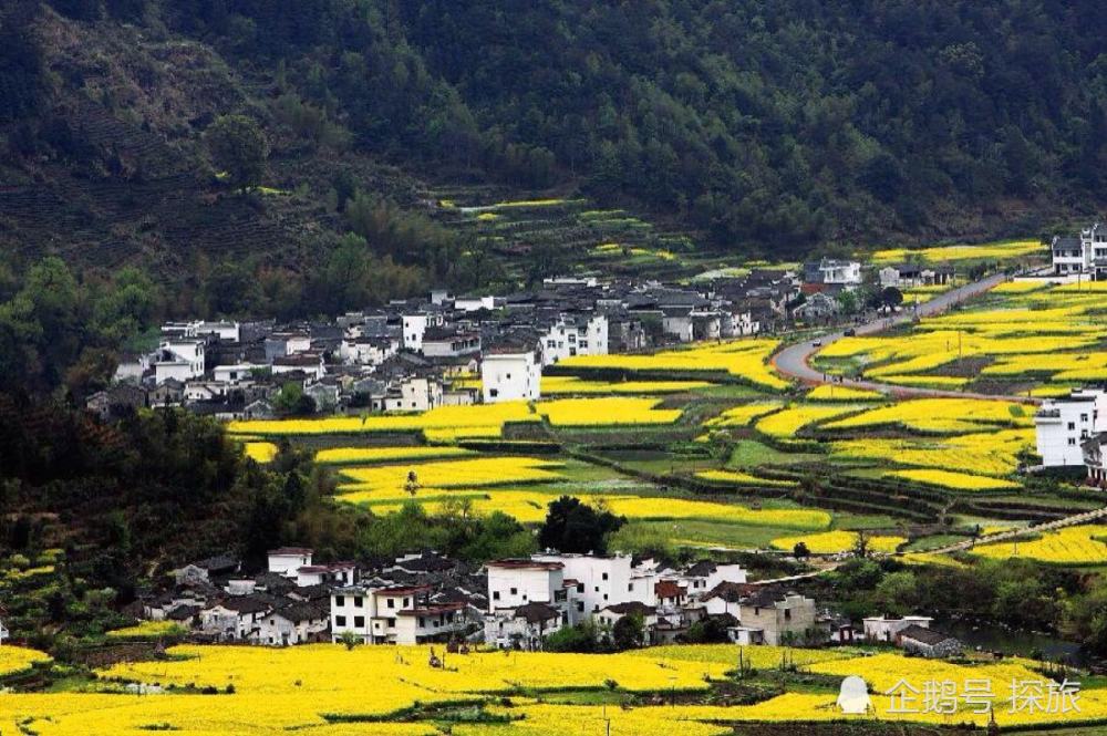 江西之光，引领科技新纪元的高科技产品探秘