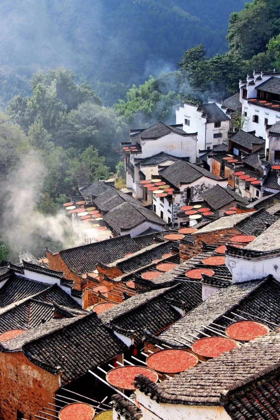 红色足迹，绿色画卷——江西故土新篇