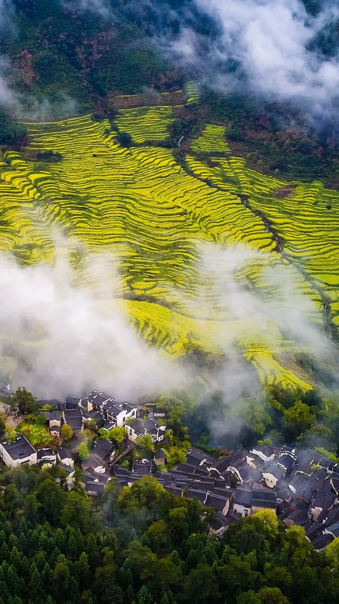 红色足迹,绿色画卷——江西故土新篇