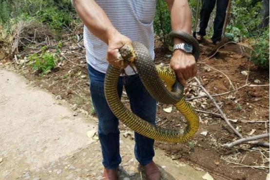 中原复兴路，河南砥砺前行记