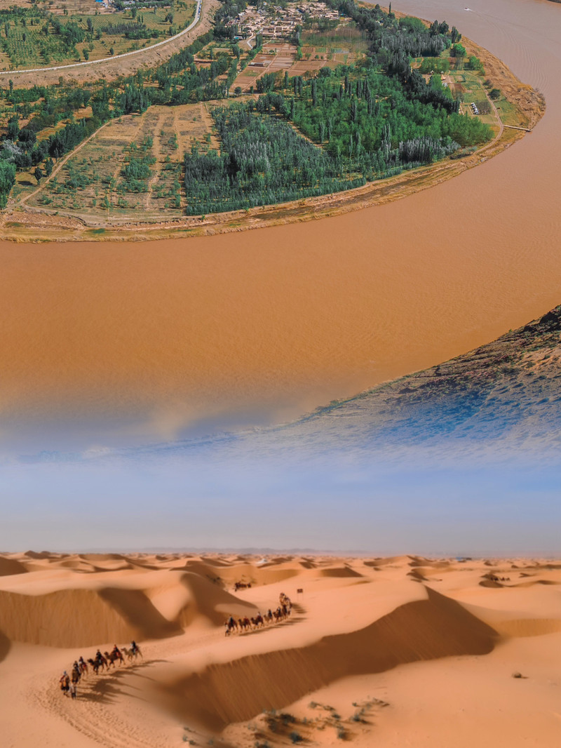 宁夏阳光下的温馨故事