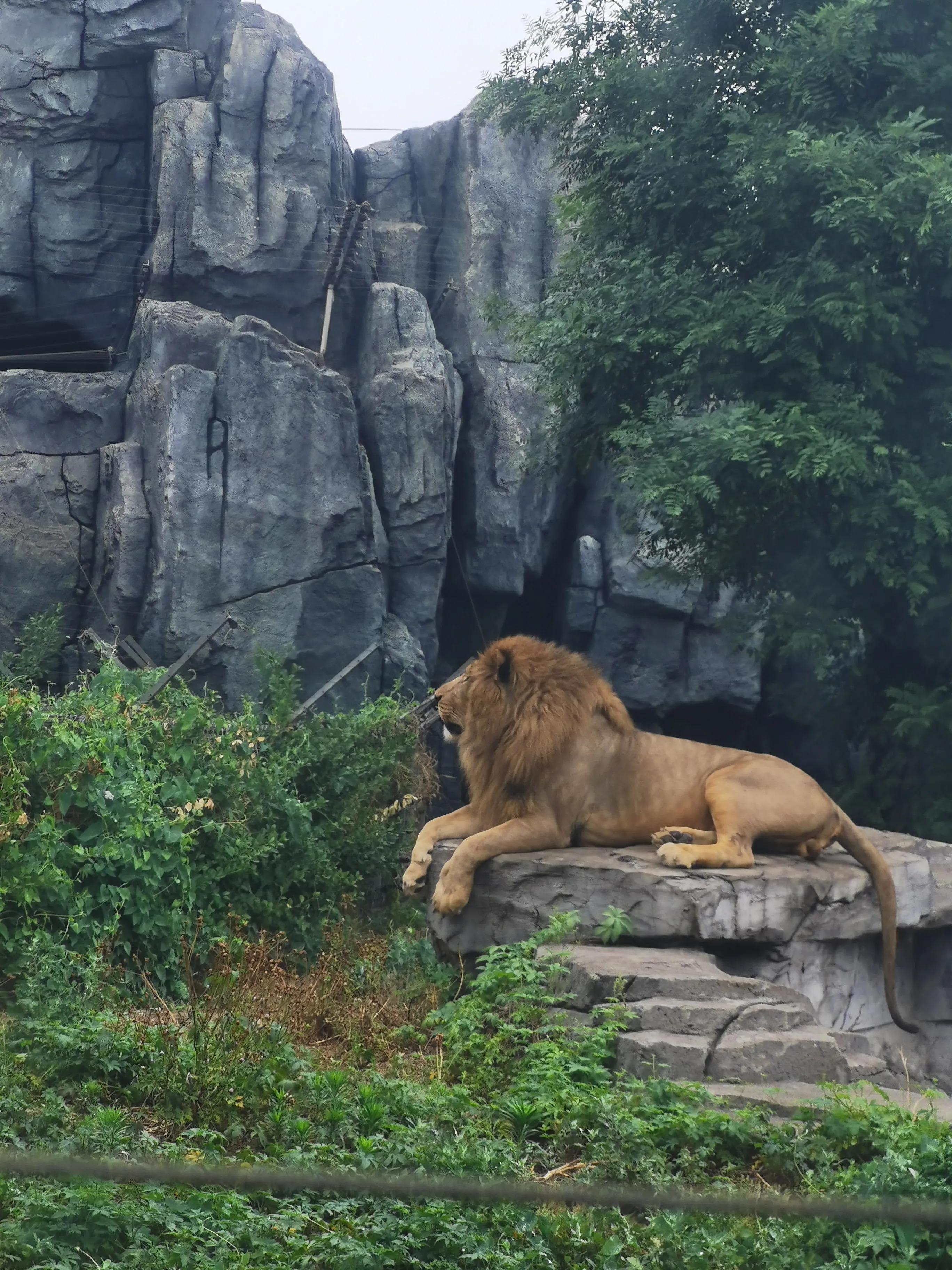 唐山巷弄深处的秘密花园，唐山特色小店探秘之旅